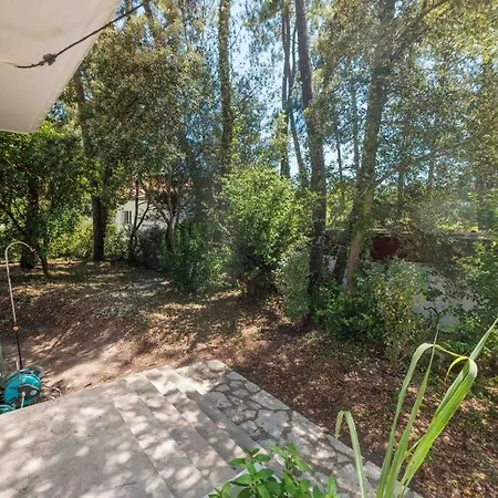 La Les Pins Saint-Georges-de-Didonne