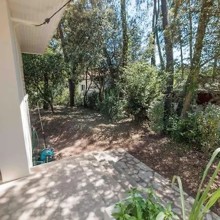 Villa La Les Pins Saint-Georges-de-Didonne