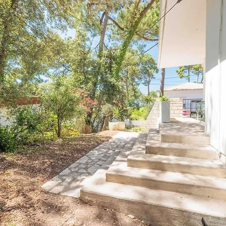 Villa La Les Pins Saint-Georges-de-Didonne